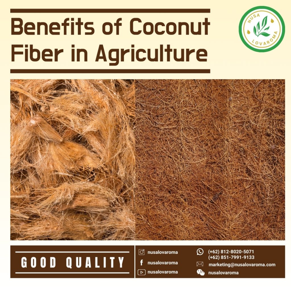 supplierofcoconutviber coconutfibersupplier supplierofcoconutfiberforplants supplierofcoconutfibermats supplierofcoconutfibermats