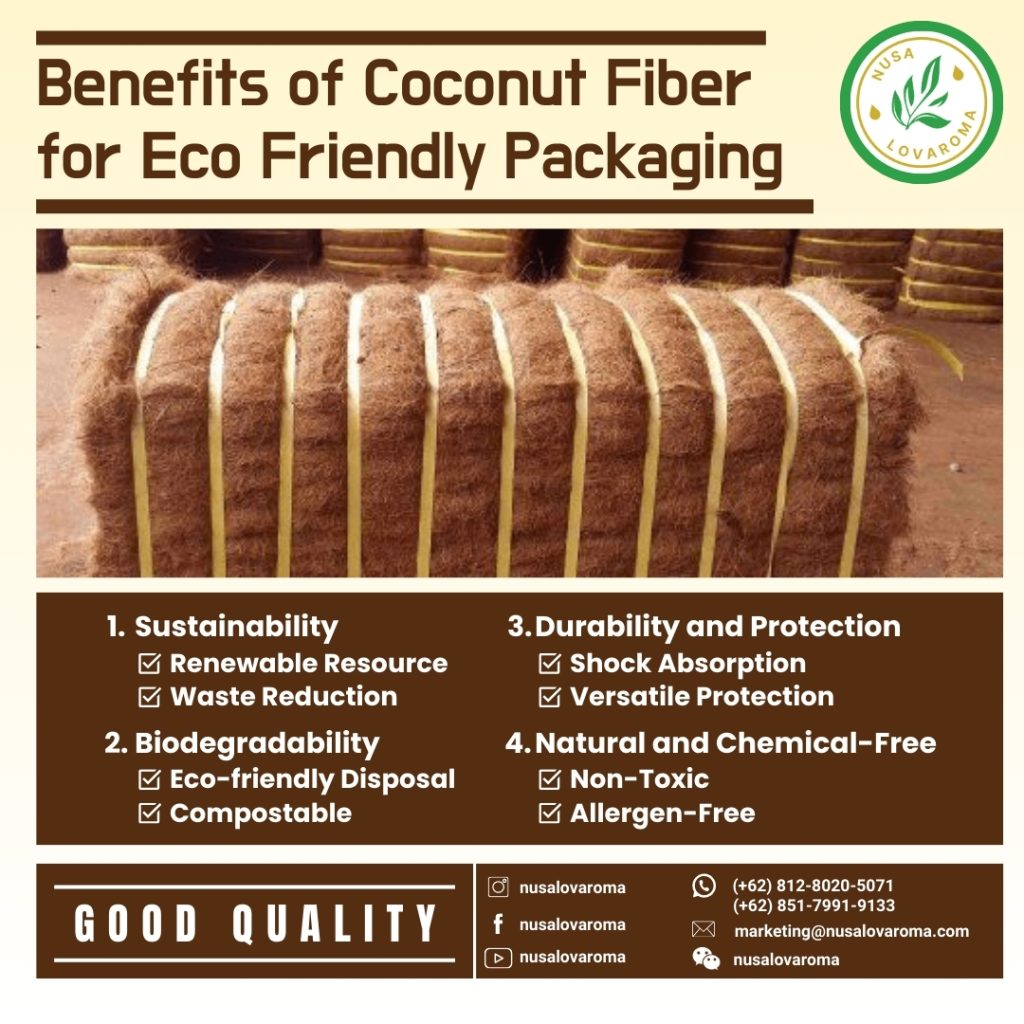 supplier of coconut fiber blocks coconut fiber export supplier coconut fiber supplier supplier of coconut fiber for gardening supplier of coconut fiber for orchids supplier of natural coconut fiber supplier of coconut fiber nutrition supplier of organic coconut fiber supplier of coconut fiber pillows Supplier of dried coconut fiber