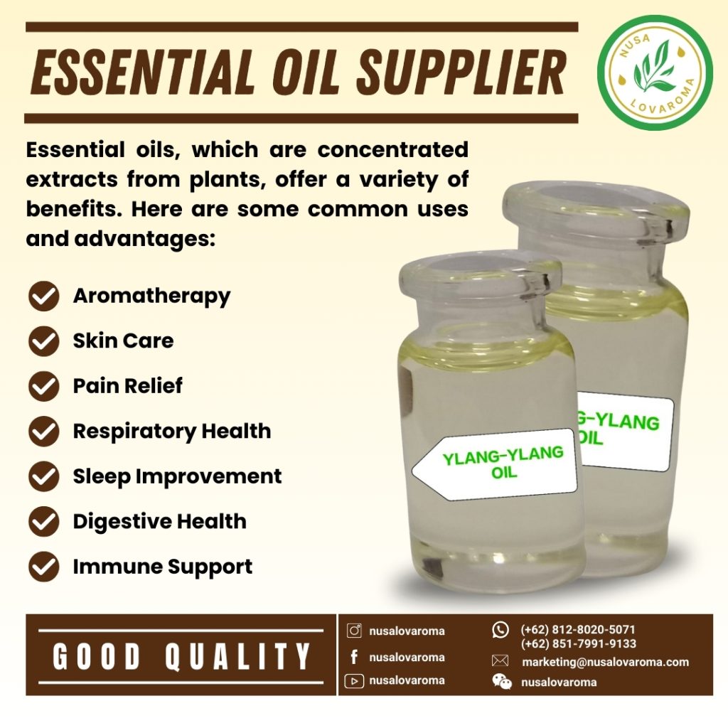 (+62) 851-7991-9133, essential oil supplier, essential oil suppliers near me, Frankincense essential oil supplier, rosemary essential oil supplier, lavender essential oil supplier, Supplier of essential oils safe for cats, peppermint essential oil supplier, vetiver essential oil supplier, supplier of the best essential oil brands, supplier of lavender essential oil benefits
