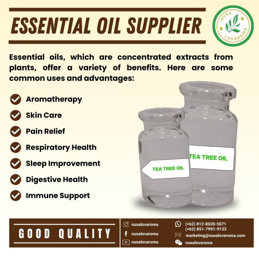 supplier of rosemary essential oil for hair singapore Singapore sandalwood essential oil supplier Singapore essential oil air freshener supplier Singapore essential oil air purifier supplier Singapore essential oil aromatherapy supplier Supplier of essential oils as perfume Singapore Singapore yellow essential oil supplier acne essential oil supplier singapore Singapore's best essential oil diffuser supplier, Singapore cedarwood essential oil supplier
