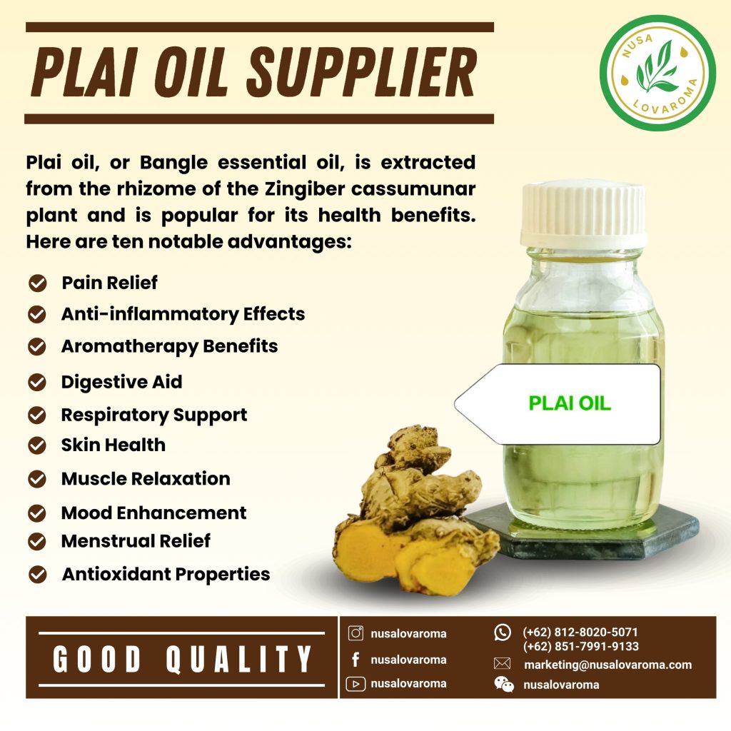 Singapore essential oil supplier essential oil suppliers near me singapore Frankincense essential oil supplier Singapore Singapore rosemary essential oil supplier Singapore lavender essential oil supplier Supplier of essential oils safe for cats Singapore Singapore peppermint essential oil supplier Singapore vetiver essential oil supplier Supplier of the best essential oil brands in Singapore Supplier of the benefits of lavender essential oil Singapore